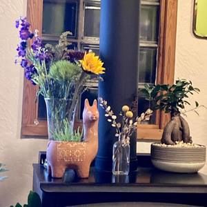 Meet your Posher, Cindy